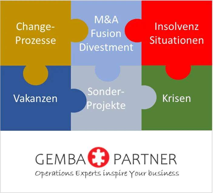 Einsatzgebiete von Interim Managern – Grafik